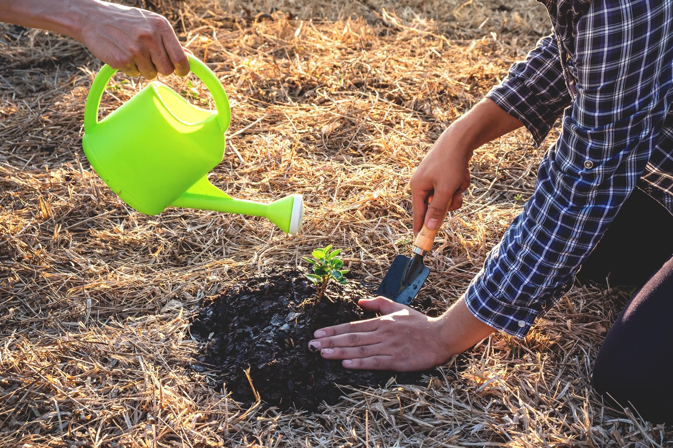 volunteers promoting effective seeding methods